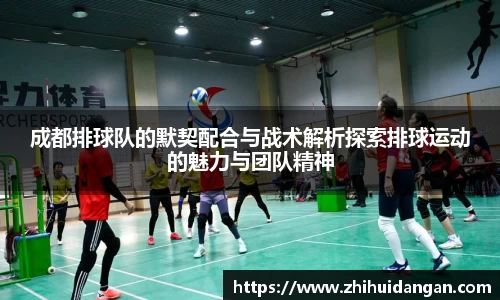 成都排球队的默契配合与战术解析探索排球运动的魅力与团队精神