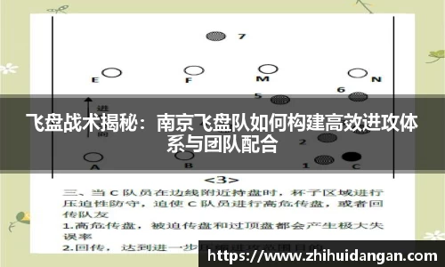 飞盘战术揭秘：南京飞盘队如何构建高效进攻体系与团队配合