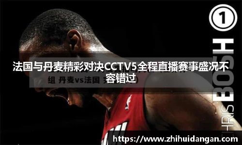 法国与丹麦精彩对决CCTV5全程直播赛事盛况不容错过