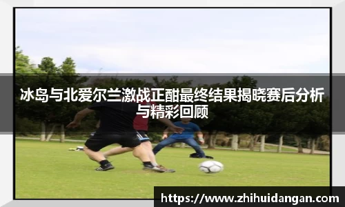 冰岛与北爱尔兰激战正酣最终结果揭晓赛后分析与精彩回顾