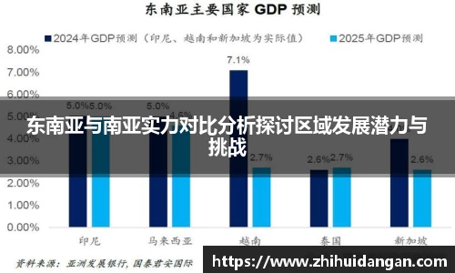 东南亚与南亚实力对比分析探讨区域发展潜力与挑战